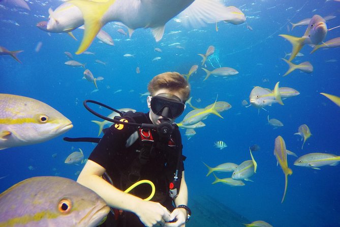 Two-Tank Dive for Certified Diving in St Thomas - Why the small group changes the experience