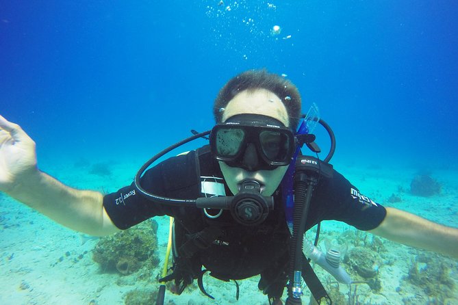 Two-Tank Dive for Certified Diving in St Thomas - Morning departures versus afternoon boats
