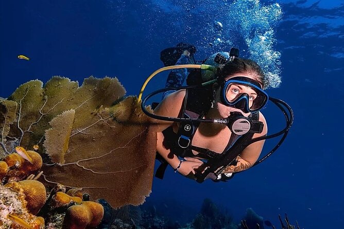 Two-Tank Morning Dive Trip for Certified Divers - St. John’s reefs and what you might see
