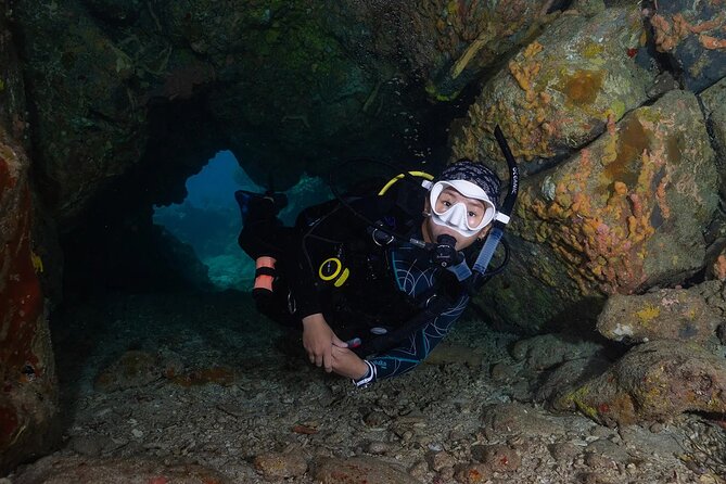 Two-Tank Morning Dive Trip for Certified Divers - Boat comfort, gear, and group size