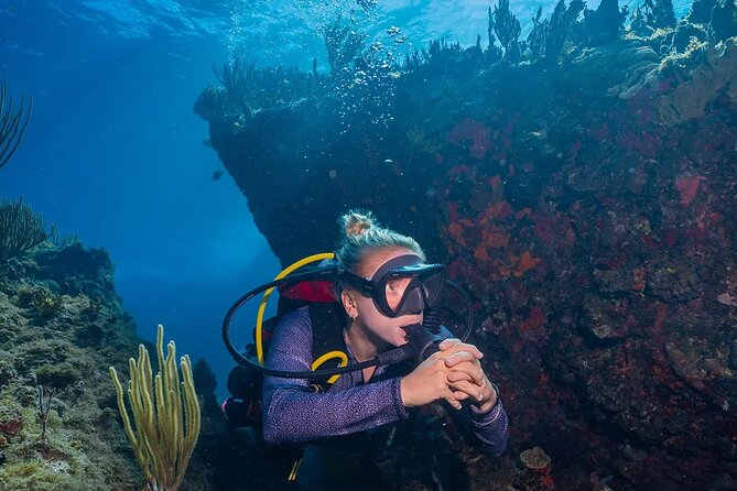 Two-Tank Morning Dive Trip for Certified Divers - Who should book this morning scuba outing?