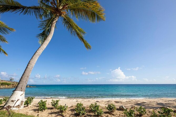 Vi Top Taxi & Tours -Airport Transfer to Bolongo Bay/ Limetree - Timing, confirmation, and cancellation rules