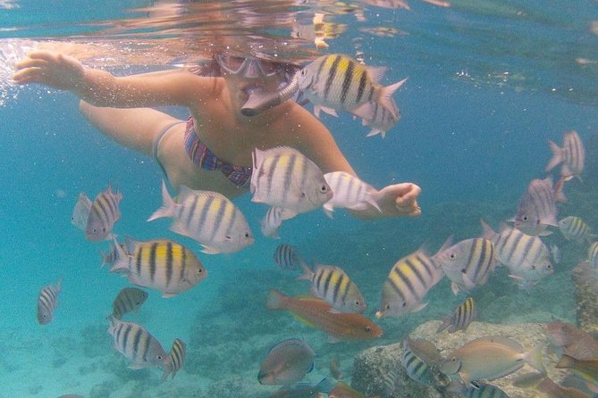 Vi Top Taxi &Tours USVI-Coki Beach Snorkeling Tour - A private way to see St. Thomas without haggling