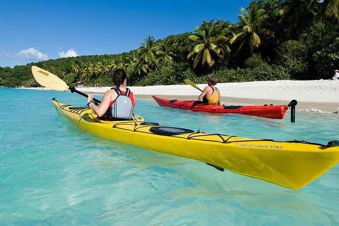 Vi Top Taxi &Tours USVI-St Thomas Private Group-Island Tour - Should you add time at Magens Bay?